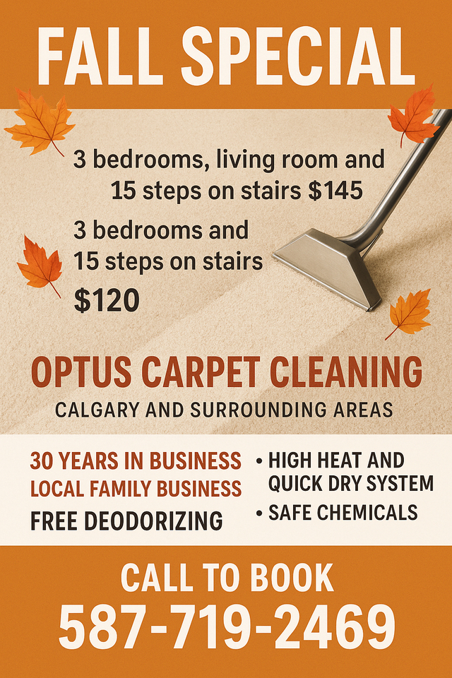Elevate your carpet home comfort after move in