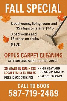 Elevate your carpet home comfort after move in