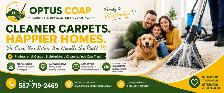carpets ready for a professional touch