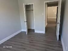 large 2 Bedroom Apt - Photo 6