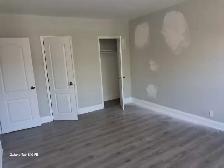 large 2 Bedroom Apt - Photo 8