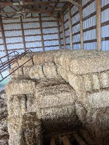 Non-desiccated wheat straw - Photo 2