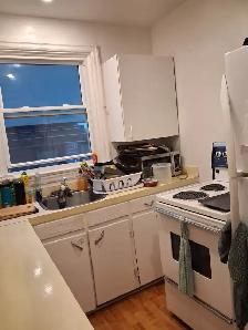 Triplex: 2 bdrm heat hdwd water deck New Edin. $1880 - Photo 6