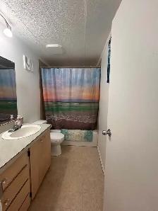 Modular Home on Owned Lot - Photo 8