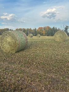 Custom Cattle Feeding - Photo 3