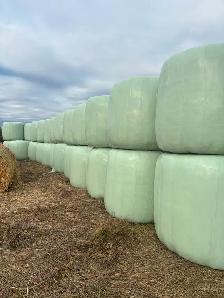 Custom Cattle Feeding - Photo 5