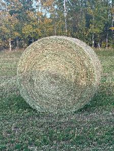 Custom Cattle Feeding - Photo 7