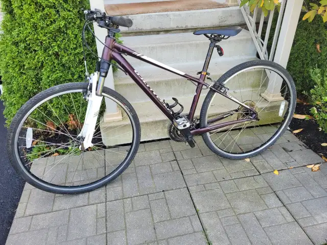Specialized Ariel  Hybrid Bike