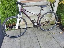 Specialized Ariel  Hybrid Bike