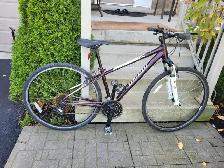 Specialized Ariel  Hybrid Bike - Photo 2