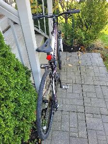 Specialized Ariel  Hybrid Bike - Photo 7