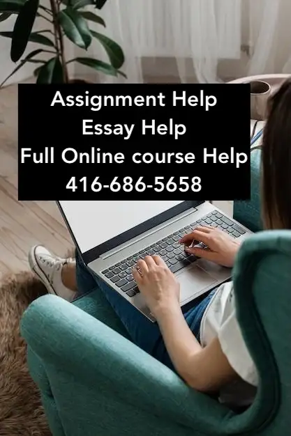 Essay Help | Law, Sociology, Education, English, Assignment Help