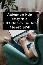 Essay Help | Law, Sociology, Education, English, Assignment Help