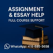 Essay, Assignments, Marketing, HRM, Management, Nursing, Math