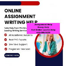 Urgent Essay Writing Help, Assignment writing, Reports, Nursing
