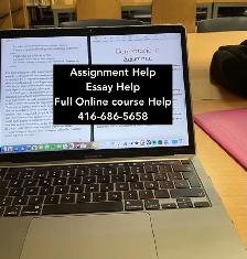 Urgent Assignment Writing, Essays, Nursing, Business, Psychology
