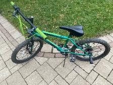 20' Boys Bicycle, Only 2 Years Old