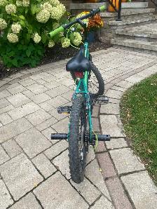 20' Boys Bicycle, Only 2 Years Old - Photo 2