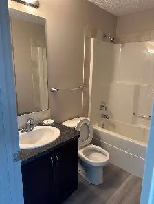 3-Bedroom, 2.5-Bath Detached House for Rent – Saddlebrook, NE Ca - Photo 4