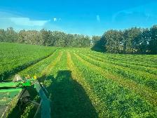 Small Square Hay Bales For Sale