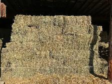 Small Square Hay Bales For Sale - Photo 2