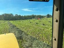 Small Square Hay Bales For Sale - Photo 3