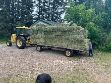 Small Square Hay Bales For Sale - Photo 4