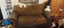 loveseat /couch - Photo 2