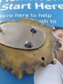 buckle backing oval plate - Photo 2