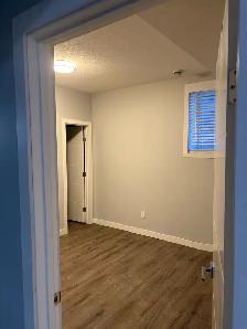Basement for rent - Photo 4