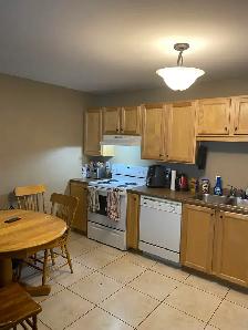 20 Woodhollow #4 - 2BR Split Level Townhouse East, W&D, Parking - Photo 5
