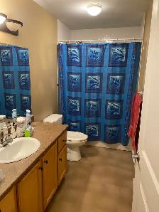 20 Woodhollow #4 - 2BR Split Level Townhouse East, W&D, Parking - Photo 6
