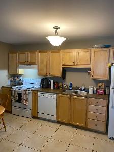 20 Woodhollow #4 - 2BR Split Level Townhouse East, W&D, Parking - Photo 11
