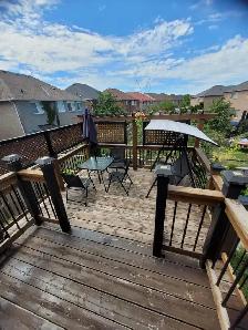 Beautiful 3 B/R Detached Home Near Mount Pleasant - Photo 2