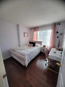 Beautiful 3 B/R Detached Home Near Mount Pleasant - Photo 6