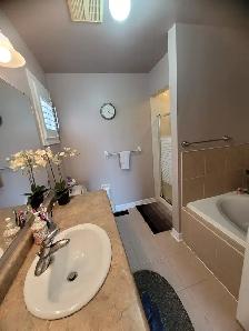 Beautiful 3 B/R Detached Home Near Mount Pleasant - Photo 8