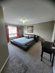 Beautiful 3 B/R Detached Home Near Mount Pleasant - Photo 9