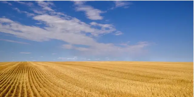 FARM LAND FOR SALE