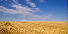 FARM LAND FOR SALE
