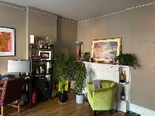Downtown Toronto Large Bedroom for Rent-All inclusive(Dec 1st) - Photo 6
