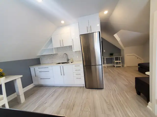 Newly renovated apartment In the Heart of Downtown Brampton