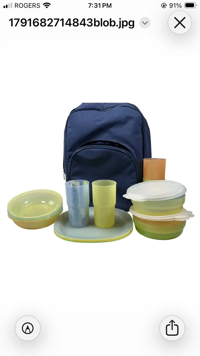 Tupperware Picnic Backpack Set