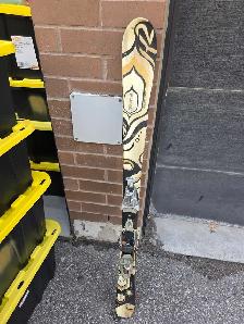 SKIS 142 CM GOOD CONDITION $50