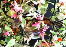 Ancient Style Jade Glass Flower Tree - Photo 6