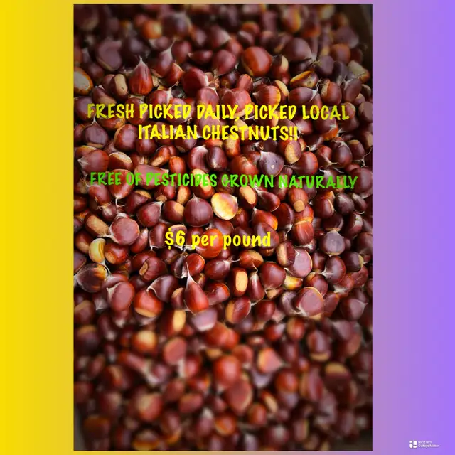50 lb for $250 — Limited-Time Special ($5lb) ITALIAN CHESTNUTS