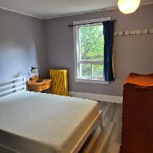 Student Housing - For Rent - Photo 8