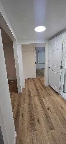 renovation