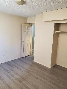 1 Bedroom Apartment for Rent - Photo 5