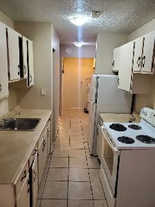 1 Bedroom Apartment for Rent - Photo 7