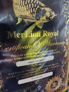 18' merlion premium crossback arowana - Photo 4